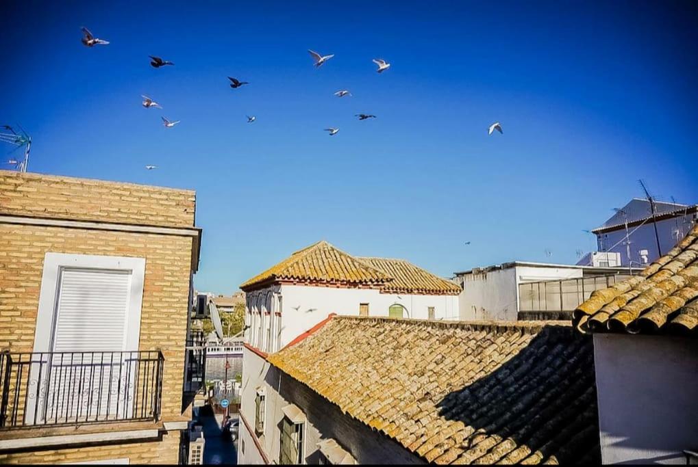 Luminoso Apartamento Centro Triana Apartment Seville Exterior photo